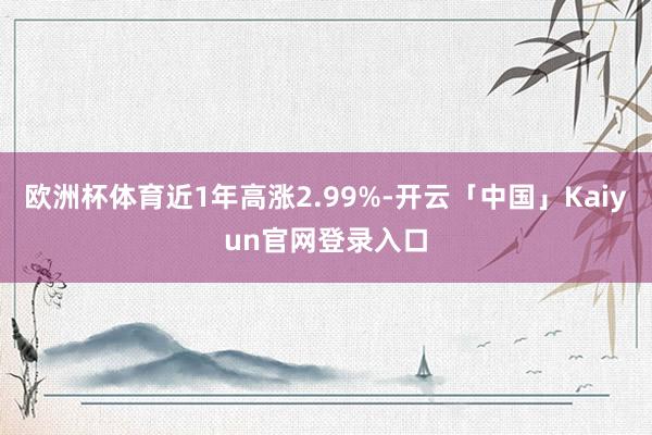 欧洲杯体育近1年高涨2.99%-开云「中国」Kaiyun官网登录入口