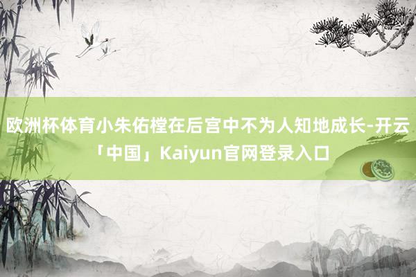 欧洲杯体育小朱佑樘在后宫中不为人知地成长-开云「中国」Kaiyun官网登录入口