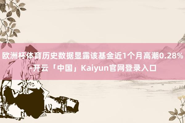 欧洲杯体育历史数据显露该基金近1个月高潮0.28%-开云「中国」Kaiyun官网登录入口
