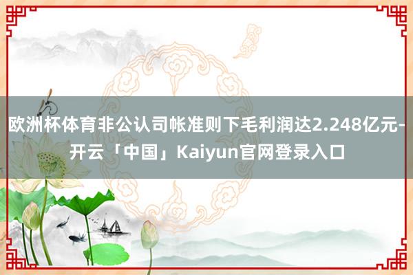欧洲杯体育非公认司帐准则下毛利润达2.248亿元-开云「中国」Kaiyun官网登录入口