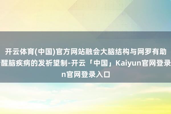开云体育(中国)官方网站融会大脑结构与网罗有助于清醒脑疾病的发祈望制-开云「中国」Kaiyun官网登录入口